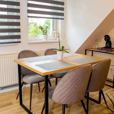 Rose Gold Zalaegerszeg