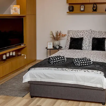 Rose Gold شقة زالاجيرسيج